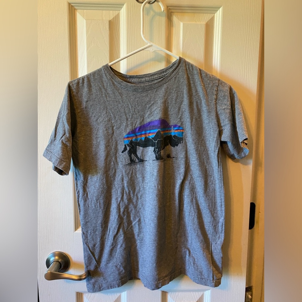 Girls Patagonia tee